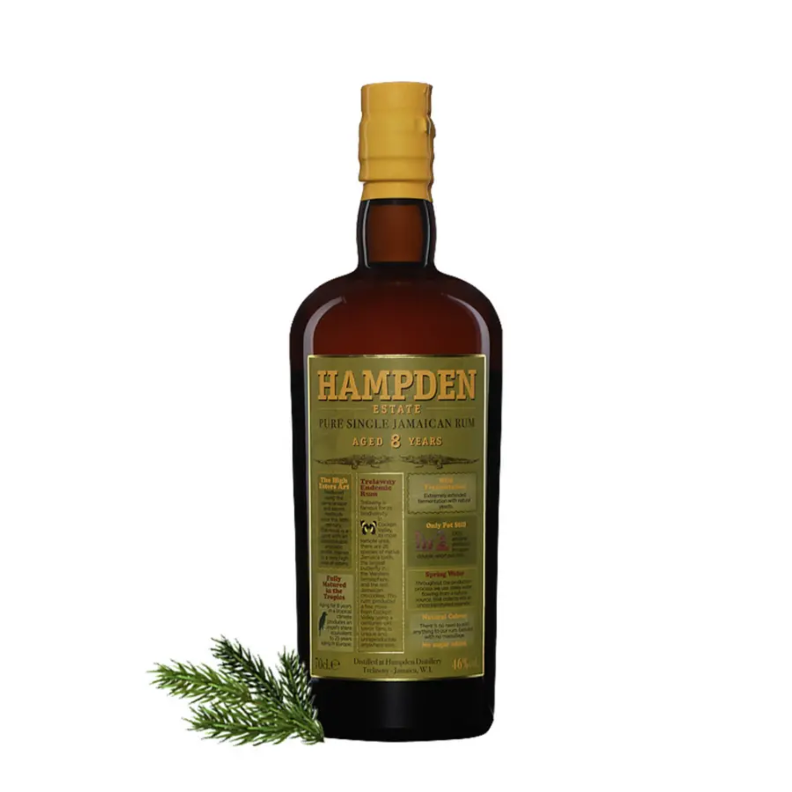 Hampden – 8 ans