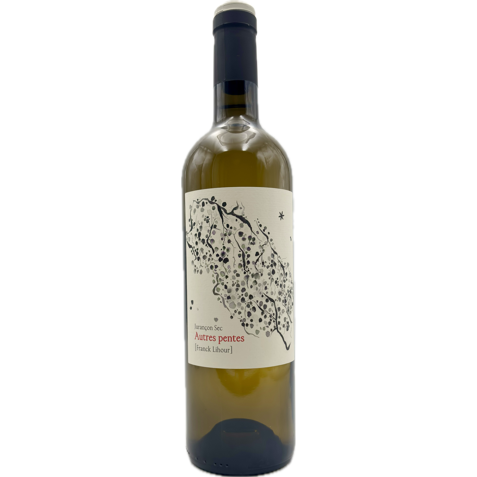 Domaine Castera – Autres Pentes 2023