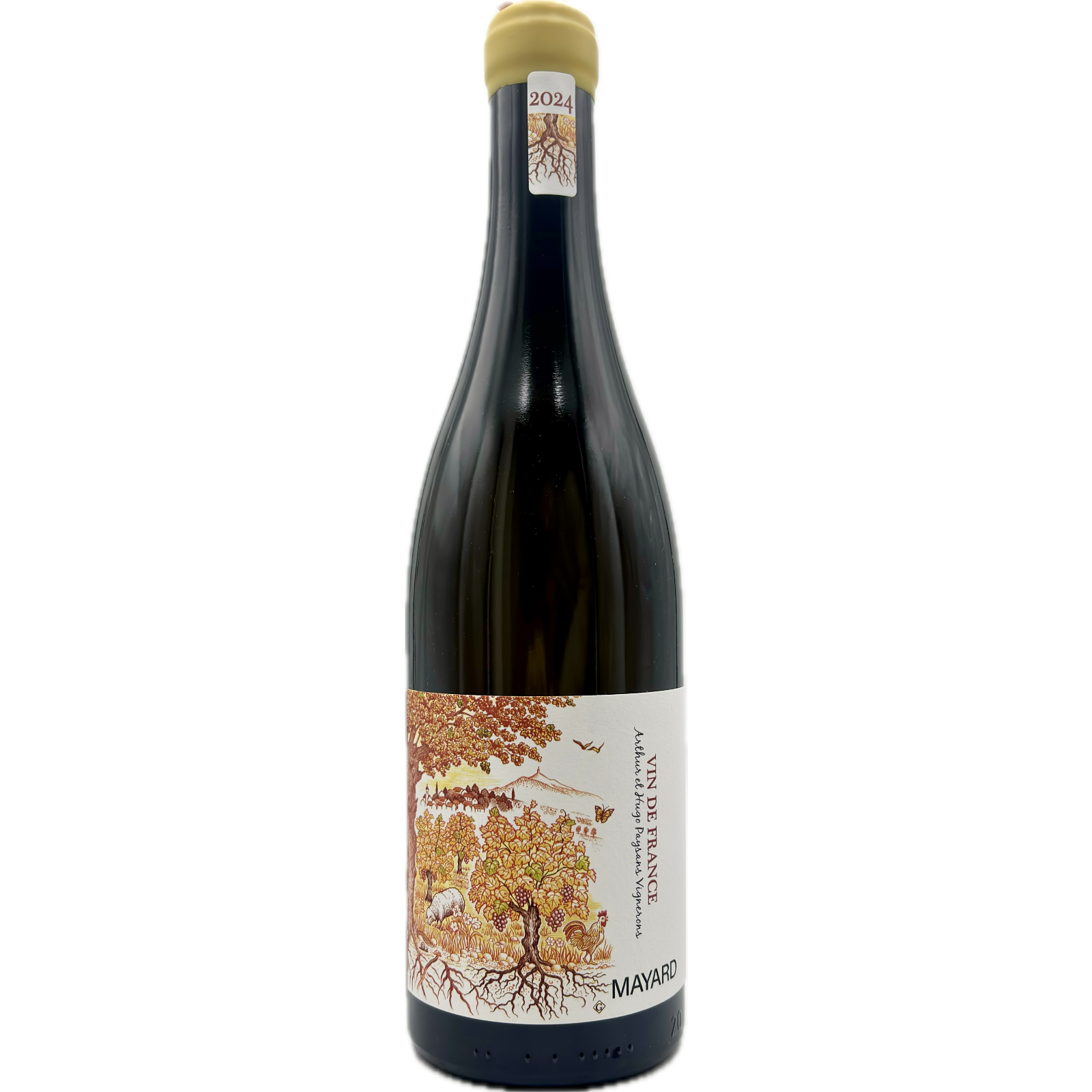 Domaine Mayard 2024