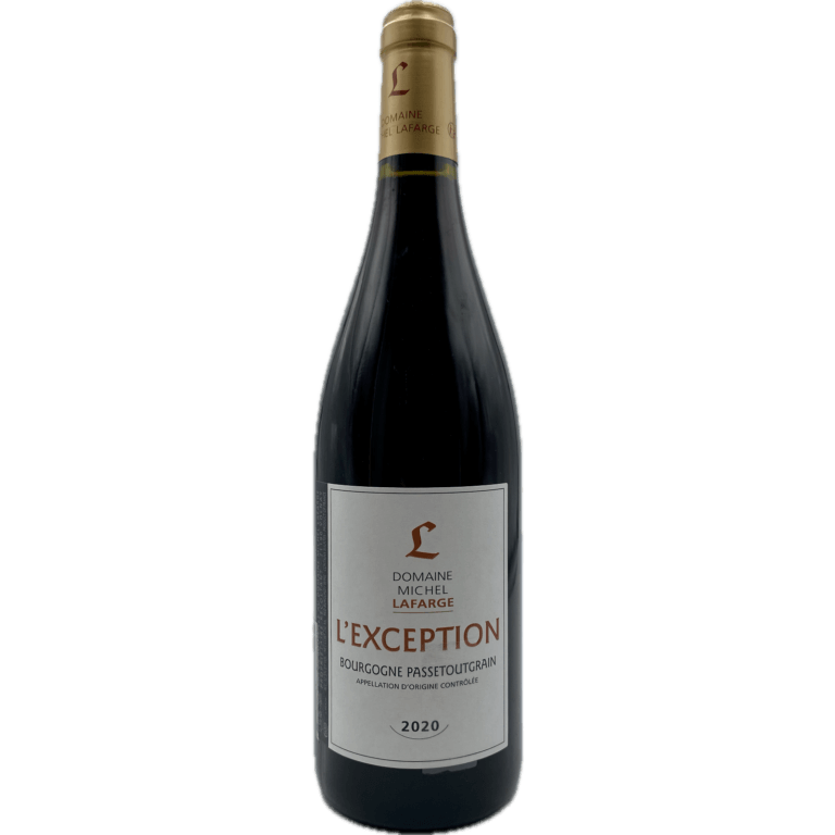 Domaine Michel Lafarge – L’Exception 2020