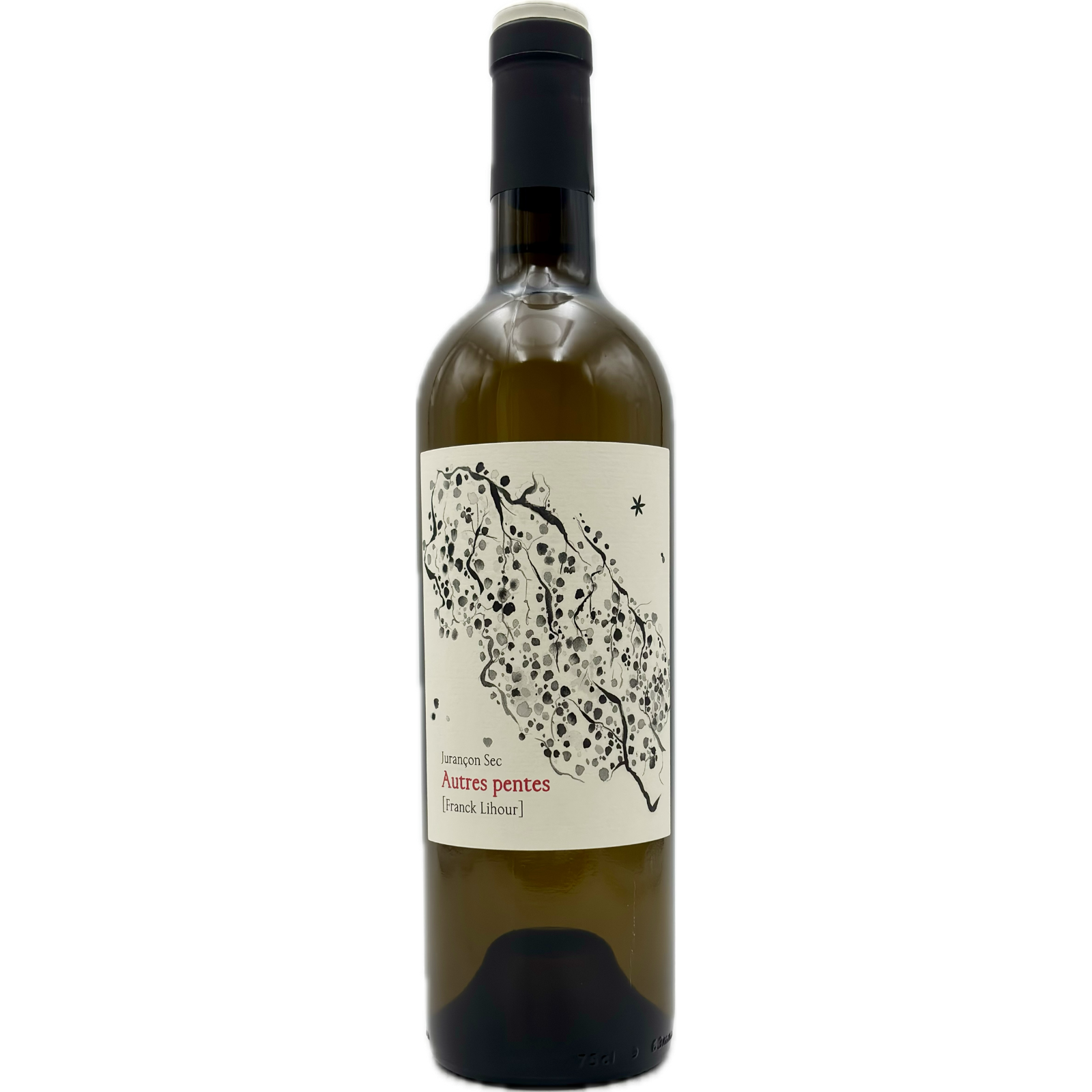 Domaine Castera – Autres Pentes 2024