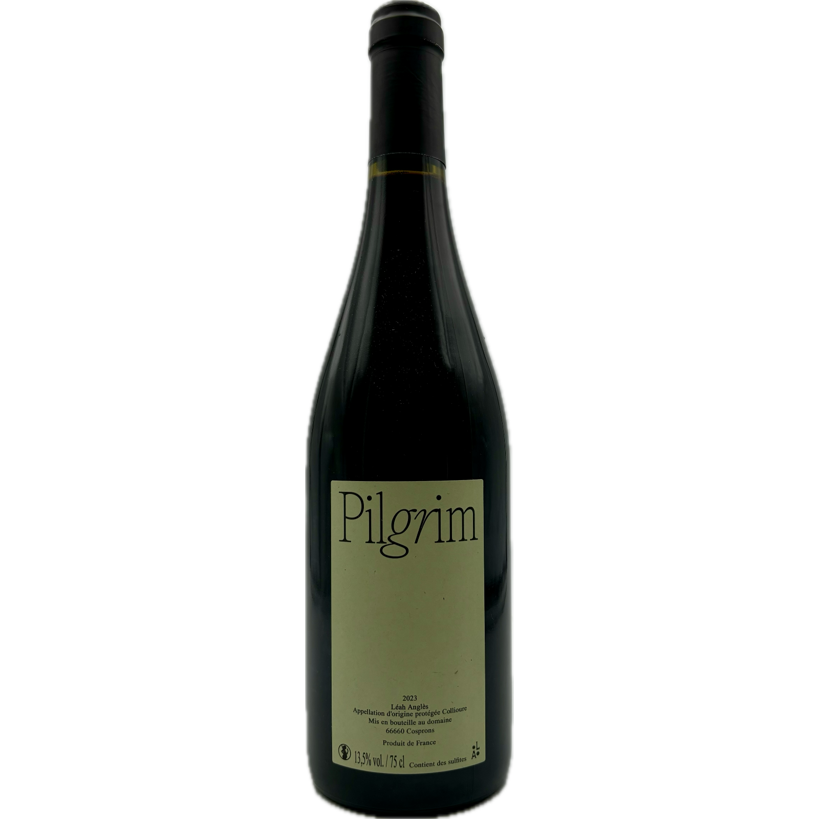 Léah Anglès – Pilgrim 2023