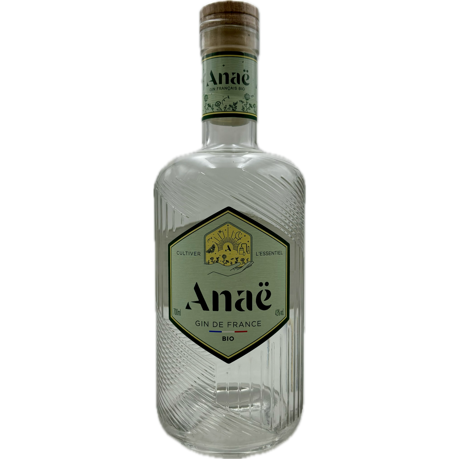 Anaë