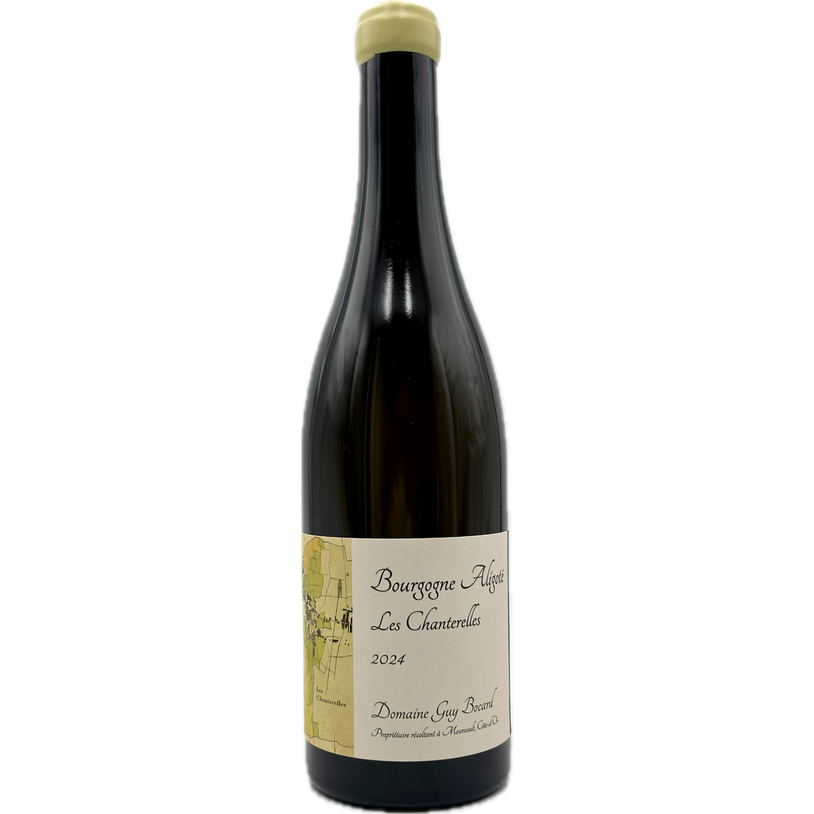 Domaine Guy Bocard – Les Chanterelles 2024